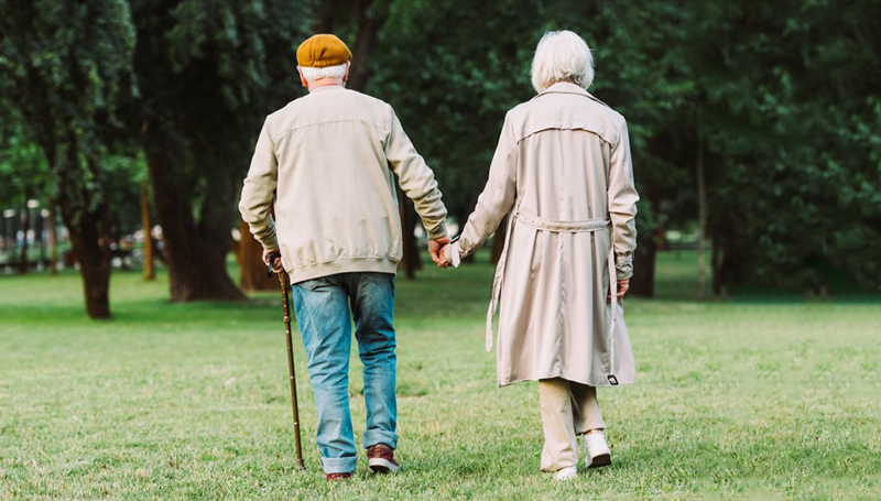 Back view of elderly couple walking on grassy meadow in park